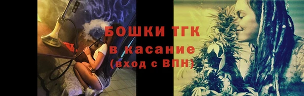 a pvp Ельня