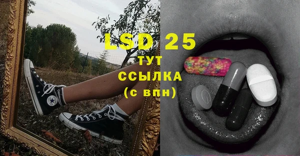 a pvp Ельня
