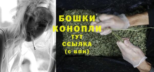 молекула духа Заволжье