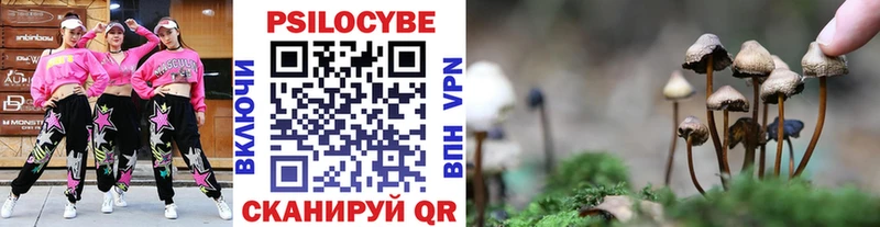 Галлюциногенные грибы Magic Shrooms цены наркотик Судогда